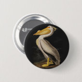 Audubon White Pelican Bird Vintag Print Button (Vorne & Hinten)