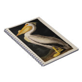 Audubon White Pelican Bird Vintag Print Notizblock (Rechte Seite)