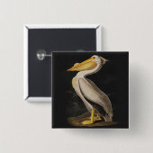 Audubon White Pelican Print Button (Vorne & Hinten)