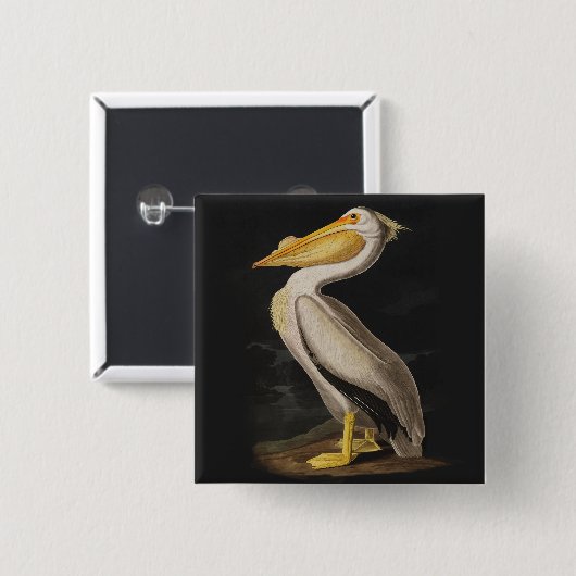 Audubon White Pelican Print Button (Vorne & Hinten)