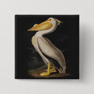 Audubon White Pelican Print Button