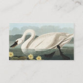 Audubon White Swan Wasservögel Malerei Visitenkarte (Rückseite)