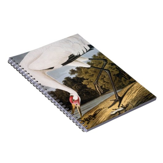 Audubon: Whooping Kran Notizblock (Rechte Seite)