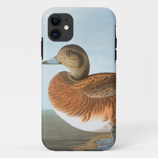 Audubon: Wigeon Case-Mate iPhone Hülle (Rückseite)