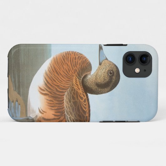 Audubon: Wigeon Case-Mate iPhone Hülle (Rückseite (Horizontal))