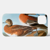 Audubon: Wigeon Case-Mate iPhone Hülle (Rückseite (Horizontal))