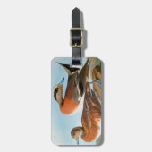 Audubon: Wigeon Gepäckanhänger (Vorderseite vertikal)