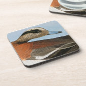 Audubon: Wigeon Getränkeuntersetzer (Linke Seite)