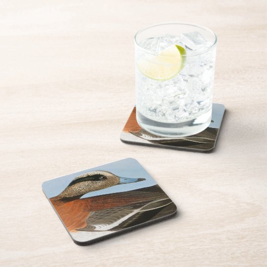 Audubon: Wigeon Getränkeuntersetzer (Rechte Seite)