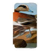 Audubon: Wigeon Incipio iPhone Geldbeutel-Hülle (Folio Vorderseite)