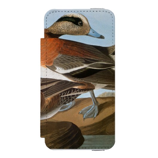 Audubon: Wigeon Incipio iPhone Geldbeutel-Hülle (Folio Vorderseite)