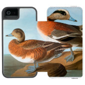 Audubon: Wigeon Incipio iPhone Geldbeutel-Hülle (Folio Geöffnet)