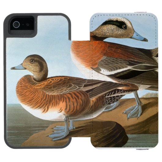 Audubon: Wigeon Incipio iPhone Geldbeutel-Hülle (Folio Geöffnet)