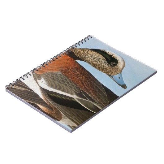 Audubon: Wigeon Notizblock (Linke Seite)