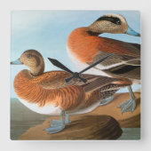 Audubon: Wigeon Quadratische Wanduhr (Vorderseite)