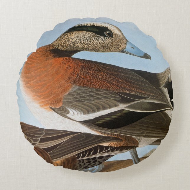 Audubon: Wigeon Rundes Kissen (Vorderseite)