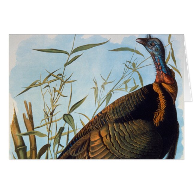 Audubon Wild Turkey (Vorderseite (Horizontal))