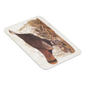 Audubon Wild Turkey Hen und Chicks im Herbst Magnet (Rechte Seite)