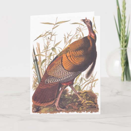 Audubon Wild Turkey Karte (Vorderseite)