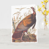 Audubon Wild Turkey Karte (Gelbe Blume)