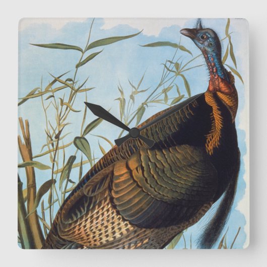 Audubon Wild Turkey Quadratische Wanduhr (Vorderseite)