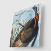 Audubon Wild Turkey Quadratische Wanduhr (Winkel)