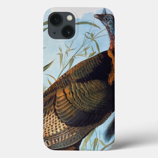 Audubon: Wilde Türkei Case-Mate iPhone Hülle (Rückseite)