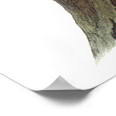 Audubon Woodpecker Poster (Ecke)