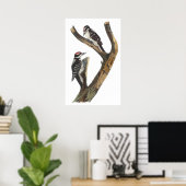 Audubon Woodpecker Poster (Heimbüro)