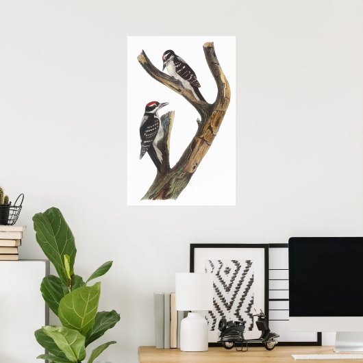 Audubon Woodpecker Poster (Heimbüro)