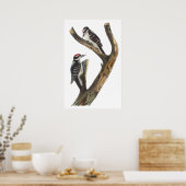 Audubon Woodpecker Poster (Küche)