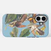 Audubon Yellow Billed Cuckoo Case-Mate iPhone Hülle (Rückseite (Horizontal))