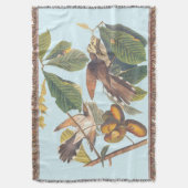 Audubon Yellow Billed Cuckoo Decke (Vorderseite Vertikal)