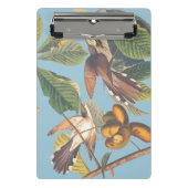 Audubon Yellow Billed Cuckoo Mini Klemmbrett (Vorderseite)