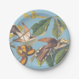 Audubon Yellow Billed Cuckoo Pappteller