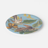 Audubon Yellow Billed Cuckoo Pappteller (Schrägansicht)