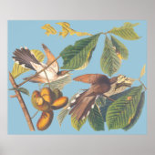 Audubon Yellow Billed Cuckoo Poster (Vorne)