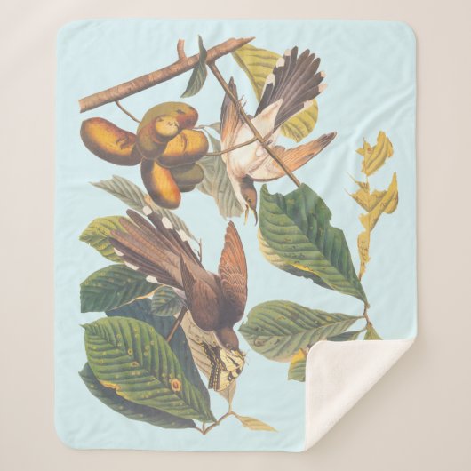 Audubon Yellow Billed Cuckoo Sherpadecke (Vorderseite)