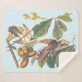 Audubon Yellow Billed Cuckoo Sherpadecke (Vorderseite (Horizontal))
