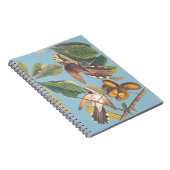 Audubon Yellow Billy Cuckoo Mini Clipboard Notizblock (Rechte Seite)