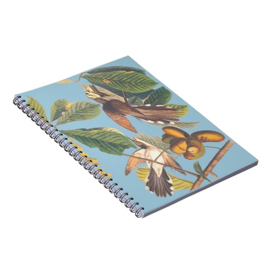 Audubon Yellow Billy Cuckoo Mini Clipboard Notizblock (Rechte Seite)