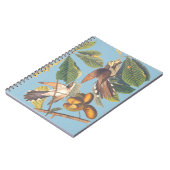 Audubon Yellow Billy Cuckoo Mini Clipboard Notizblock (Linke Seite)
