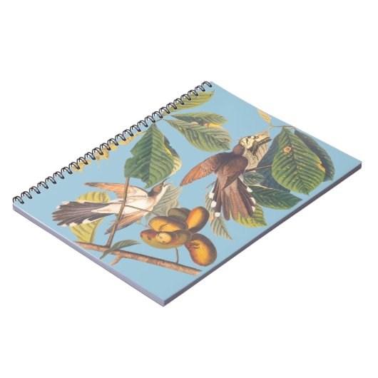 Audubon Yellow Billy Cuckoo Mini Clipboard Notizblock (Linke Seite)