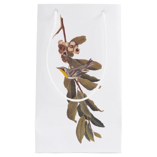 Audubon Yellow throp Warbler Song Bird Kleine Geschenktüte (Vorderseite)