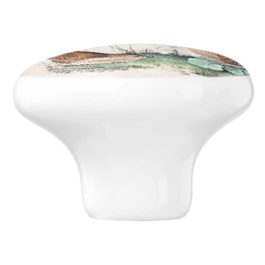 Audubon Zaunkönig-Vogel-Tier-Tier-Griff Keramikknauf (Seitenansicht)