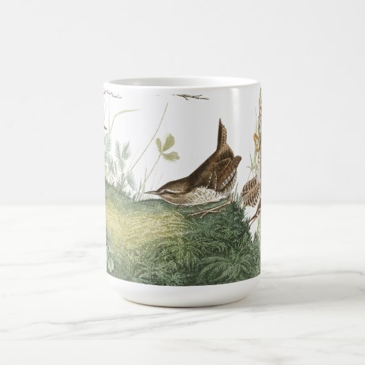 Audubon Zaunkönig-Vogel-Tier-Tier-Nest-Tasse Kaffeetasse (Mittel)