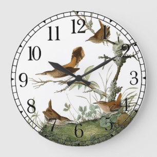 Audubon Zaunkönig-Vogel-Tier-Tier-Wanduhr Große Wanduhr