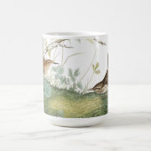 Audubon Zaunkönig-Vogel-Tier-Tier-Wiesen-Tasse Kaffeetasse (Mittel)
