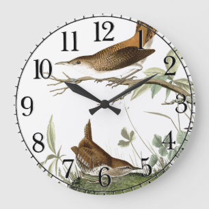 Audubon Zaunkönig-Vogel-Tiertier-Wanduhr Große Wanduhr