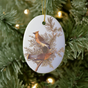 Audubon-Zedrachsänger-Vogel Keramikornament